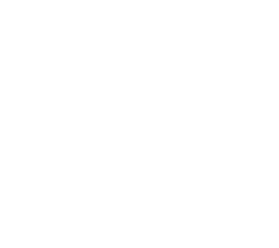 icon home