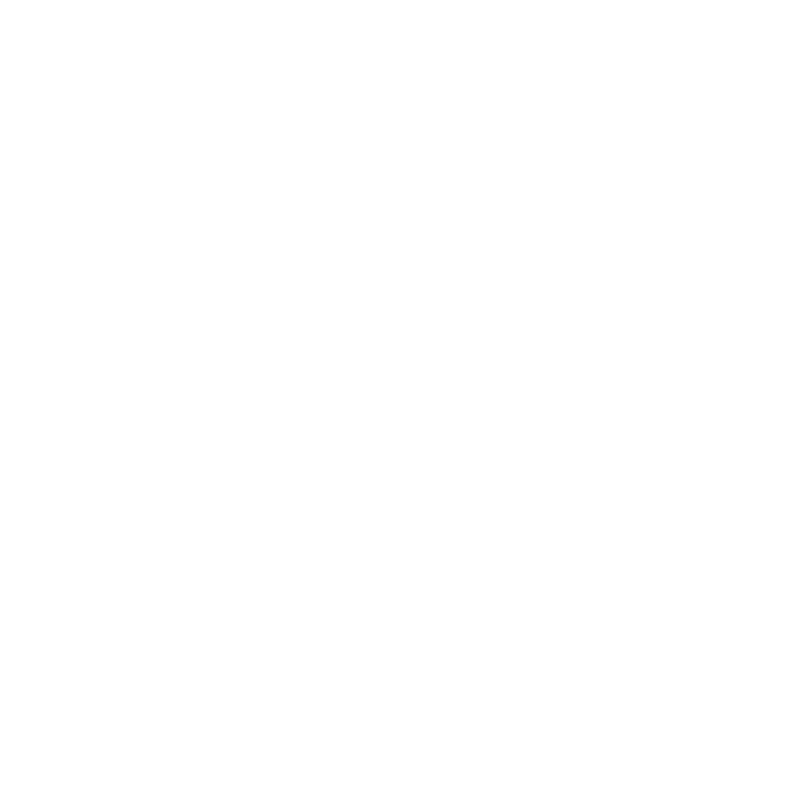 reisen icon