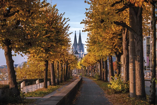 Köln im Herbst | © AdobeStock