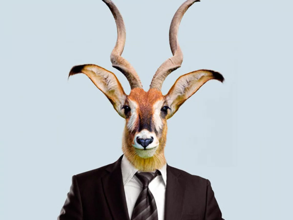 Die Antilope | Oper Köln | © Nicolai Priller