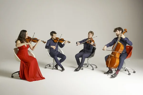Alinde Quartett | © Davide Cerati