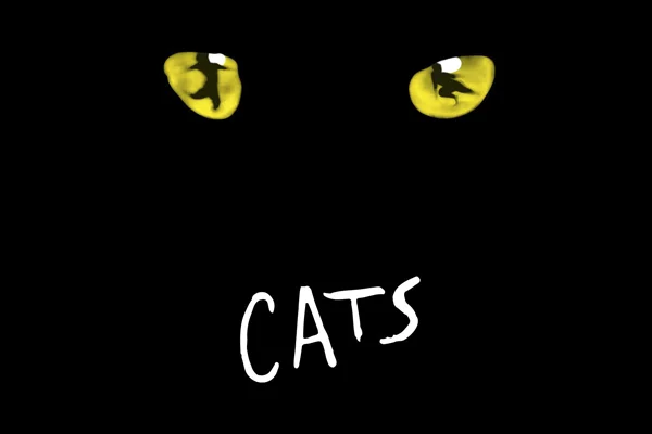 CATS | © Philharmonie Köln