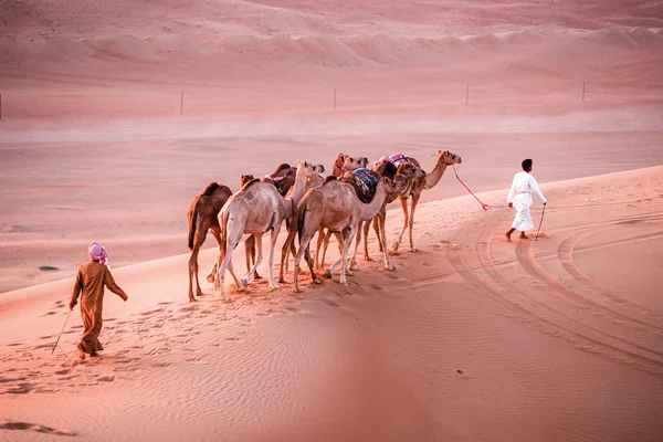 Oman | © D703tg